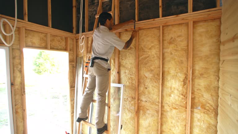 Best Radiant Barrier Insulation  in USA